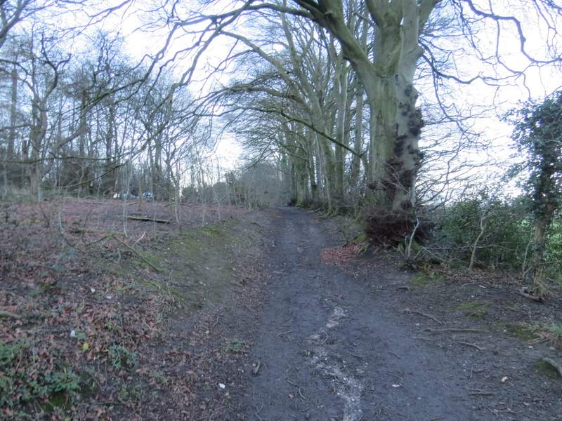 Pete's Walks Watlington Hill and Russell's Water (page 5 of 5)